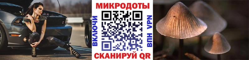 Псилоцибиновые грибы Psilocybine cubensis Озёры